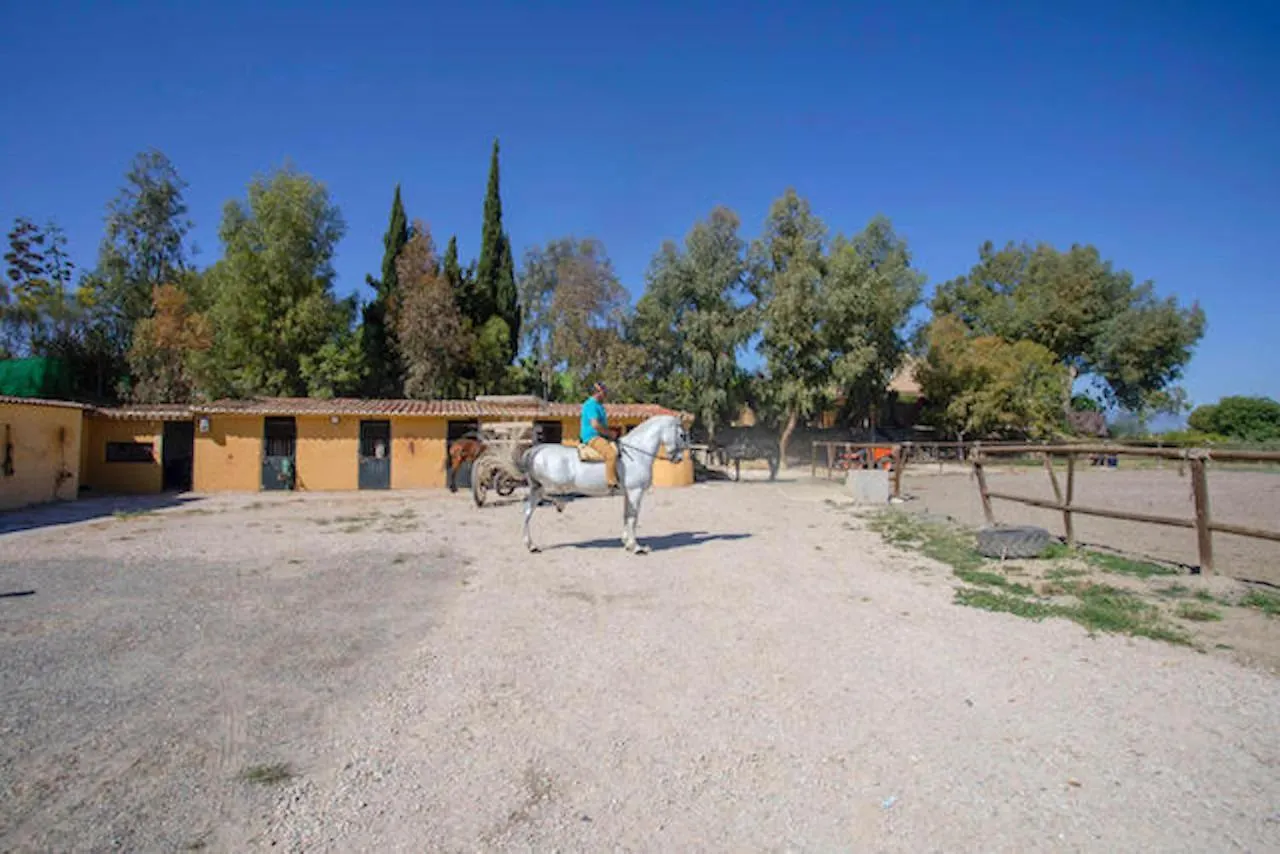 乡村民宿 Bungalows-Cortijo Da Luigi-4 Adultos-2 Dormitorios-Piscina-Ideal Familias-Cartama-Malaga