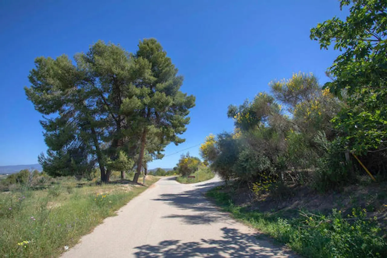 Bungalows-Cortijo Da Luigi-4 Adultos-2 Dormitorios-Piscina-Ideal Familias-Cartama-Malaga 0*, 卡塔马