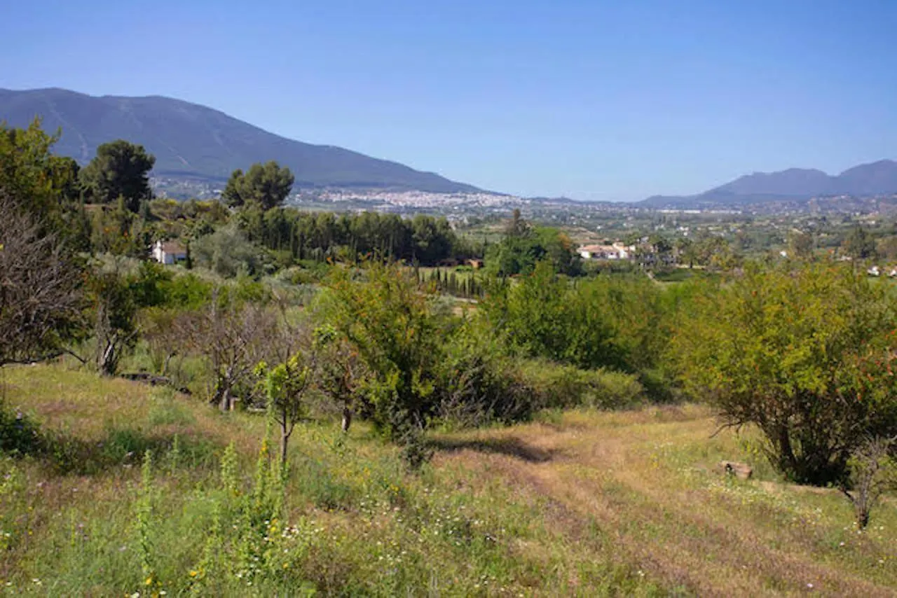 乡村民宿 Bungalows-Cortijo Da Luigi-4 Adultos-2 Dormitorios-Piscina-Ideal Familias-Cartama-Malaga